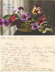 Stiefmütterchen in Korb, Neujahrskarte gebr. 1920