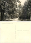 01737 Grillenburg Tharander Wald am B Flügel *1965 Hanich1435