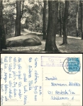 06779 Tornau via Bitterfeld Country postmark on postcard Luthenstein o 16.6.2956