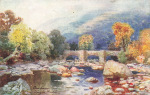 Darmoor Fingle Bridge Künstlerkarte  Tucks Oilette * um 1910