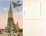 Ulm Munster Bird *ca.1920