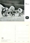 Our sandman with the Eskimos S 50/65 GDR children's television *ca.1965