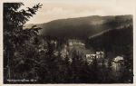 01773 Waldbaerenburg Erzgebirge Altenberg o 1933