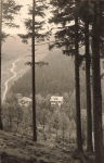 01773 Waldbaerenburg Erzgebirge Heuweg Altenberg o 1963