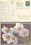 Advertising stamp 