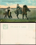 USA Idaho An Exciting Moment, Wild Horse attacking Broncheo, In the Northwest