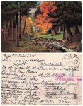 Willy Moralt artist card from Riga via Petrograd Censorship stamp half o July 24, 1915