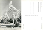 Erzgebirge Im Winter *1966 Hanich2001