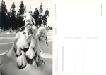 Winterwald im Erzgebirge *1966 Hanich1998