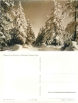 Winter forest Kahleberg near Altenberg *1958 Hanich1060