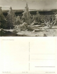 Winter forest in the Ore Mountains *1956 Hanich1034