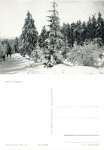 Winterwald im Erzgebirge *1966 Hanich2003
