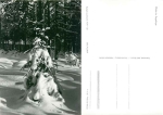 Winterwald im Erzgebirge *1966 Hanich2010