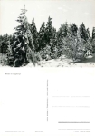 Winter im Erzgebirge *1966 Hanich2011
