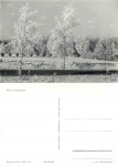 Erzgebirge im Winter *1966 Hanich2012