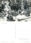 Winterwald im Erzgebirge *1966 Hanich2021