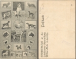 Witten-Ruhr pedigree dog anniversary exhibition April 26th, 2014