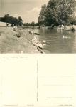 17255 Woblitz See Wesenberg canoe camp *1963 Hanich0239