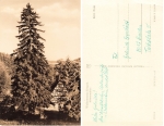 09429 Wolkenstein Erzgebirge Huttenmuhle *1963