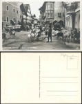 Goats returning from the pasture, Mittenwald, * ca. 1930