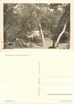 01773 Zinnwald Georgenfeld Hochmoor  *1957 Hanich oN