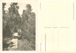 01773 Zinnwald Georgenfelder raised bog  *1957 Hanich oN
