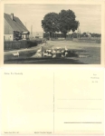 17255 Zirtow Dorfstrasse with geese *1956 Hanich0113