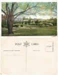 Ipswich the Arboretum *ca.1910