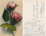 red roses 3/1/1918