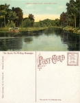 Sandusky Cedar point *ca.1910 