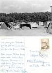 Wusterwitz Camping